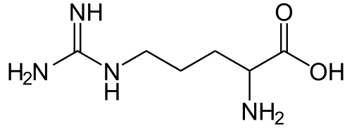 Chemical structure of the amino acid arginine