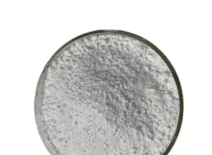 L-Carnitine supplement powder