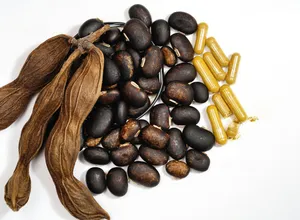 Mucuna pruriens seeds and pods