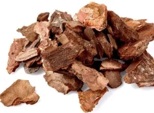 Pine bark extract